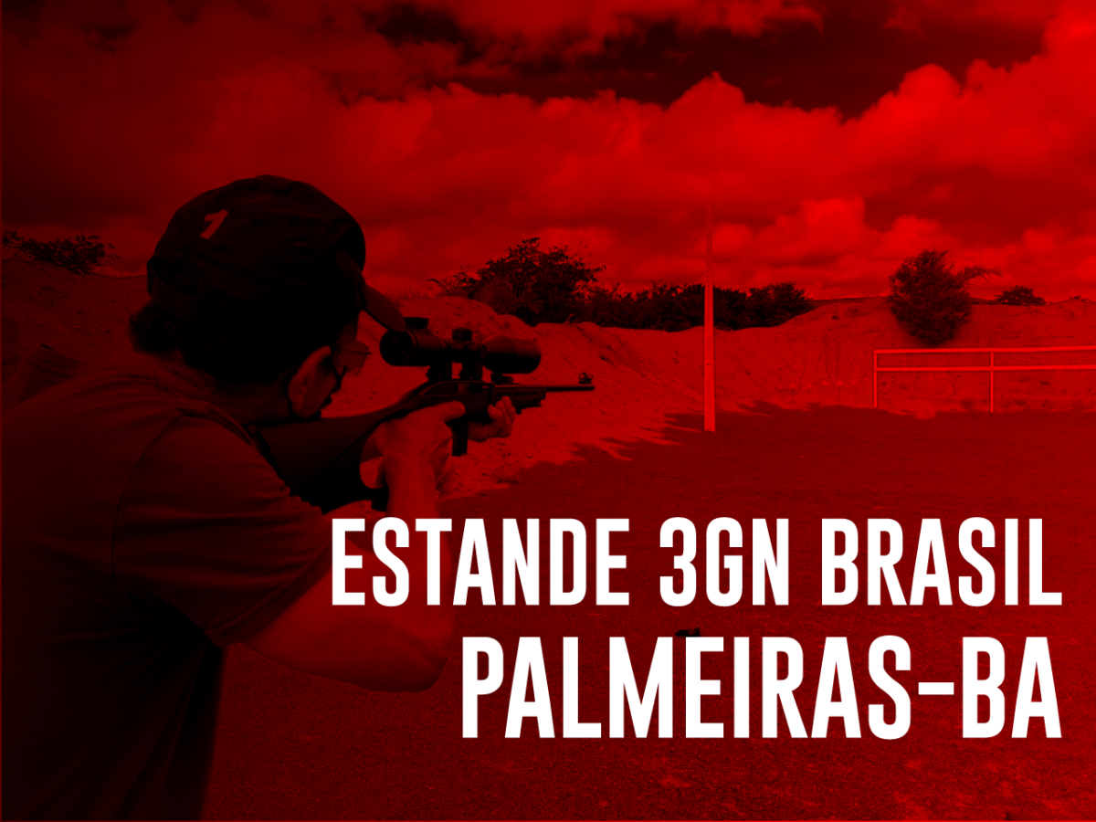 thumb-palmeiras